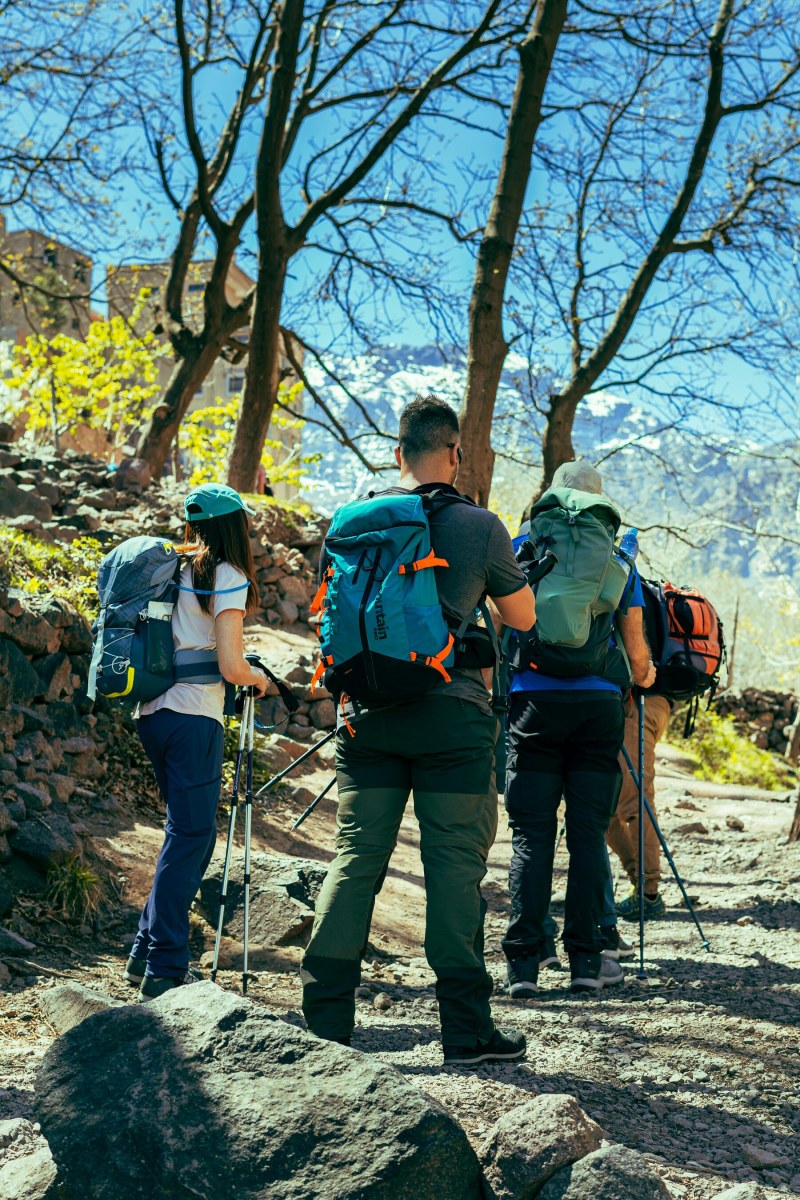 Atlas Mountains Hiking & Waterfalls Day Trip