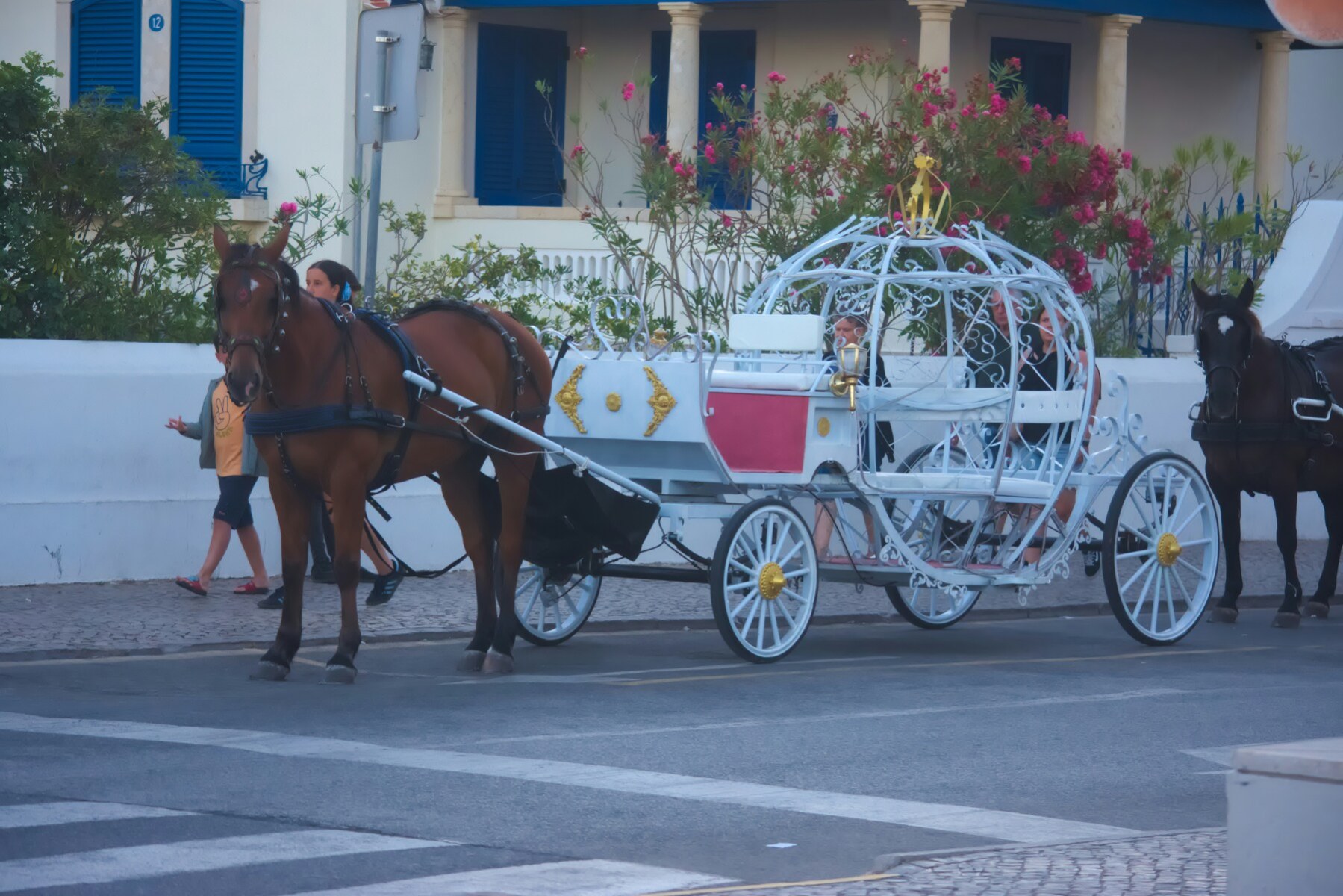 Tunis Beach Horseback Ride
