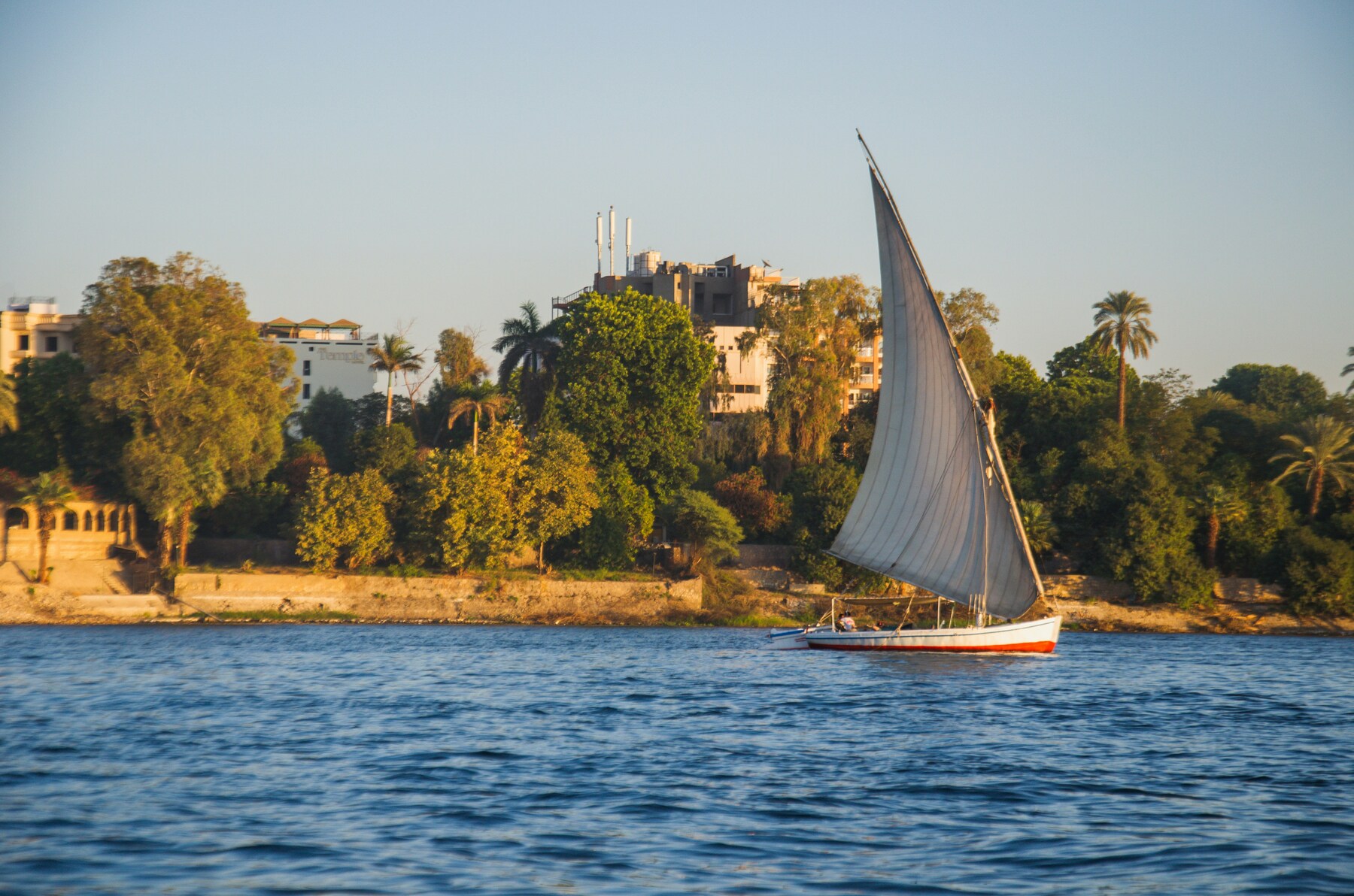 Nile Delta Farm Experience & Felucca Sail