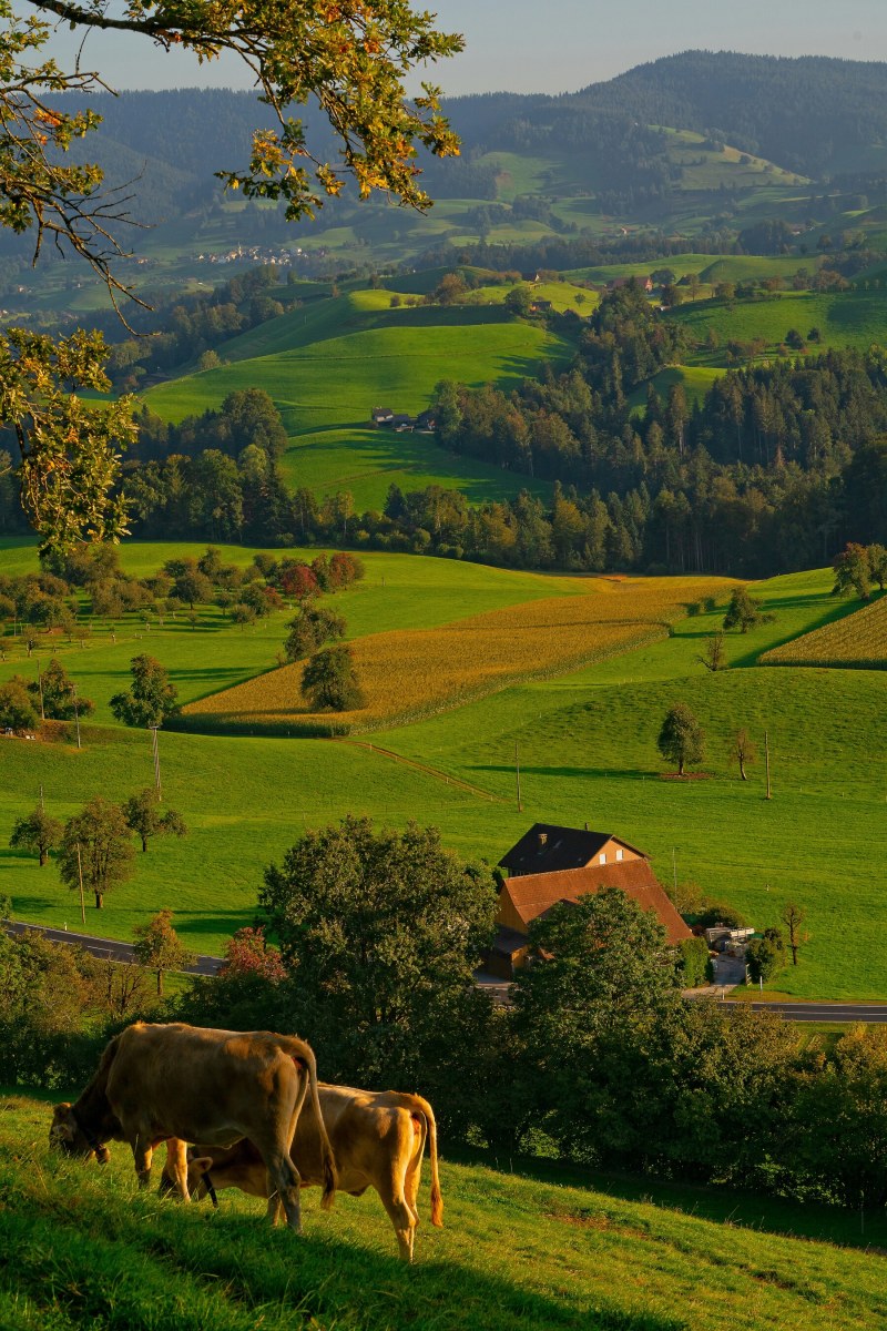 Blue Mountains Farm Retreat & Wildlife
