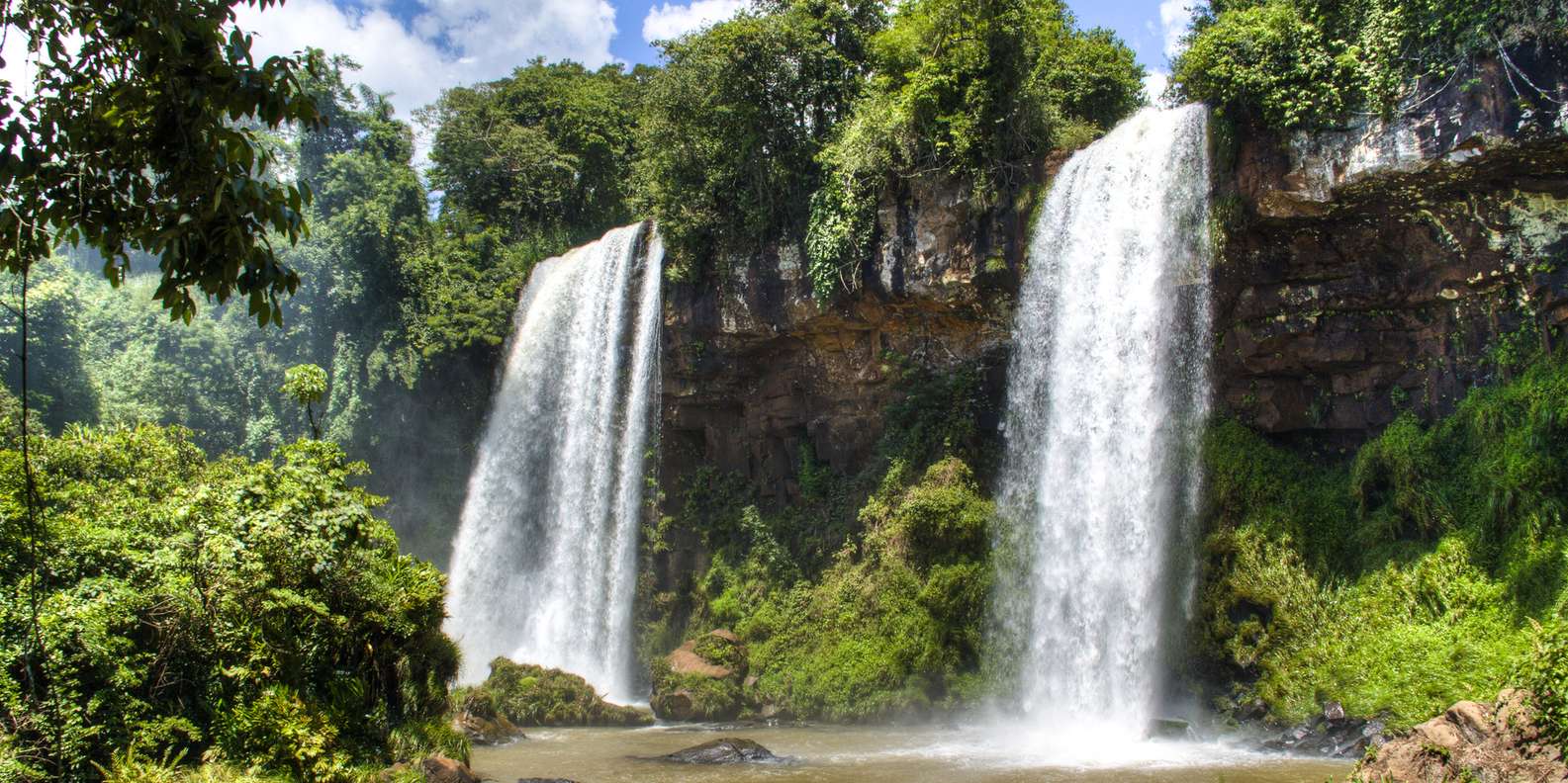 Iguazu Falls Birdwatching & Jungle Safari