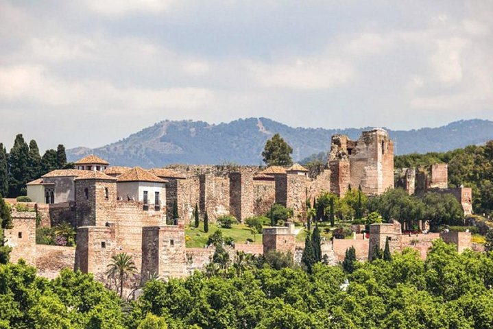 Picasso Museum & Alcazaba Fortress Tour