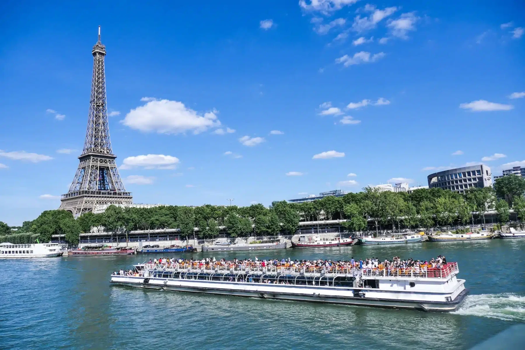 Eiffel Tower Summit & Seine Cruise - Paris