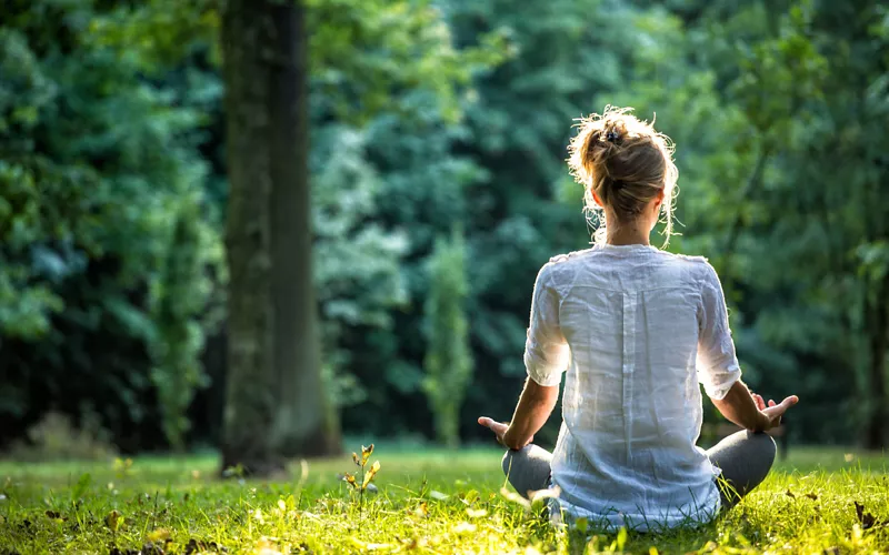 Forest Bathing & Meditation in the Turia Park